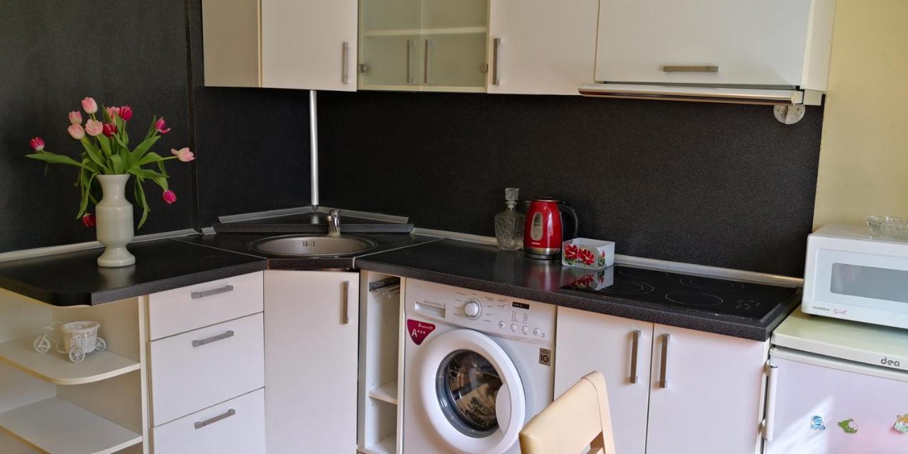 Appartement Vieno Kambario Butas Su Balkonu à Kaunas Extérieur photo